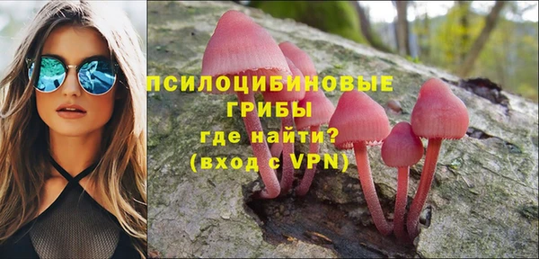 герыч Верхний Тагил