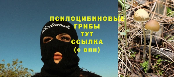 герыч Верхний Тагил