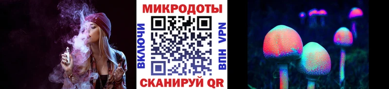 Псилоцибиновые грибы Psilocybine cubensis  Новосокольники 